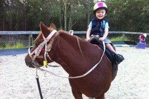 gold coast horse riding