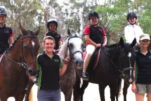 gold coast horse riding