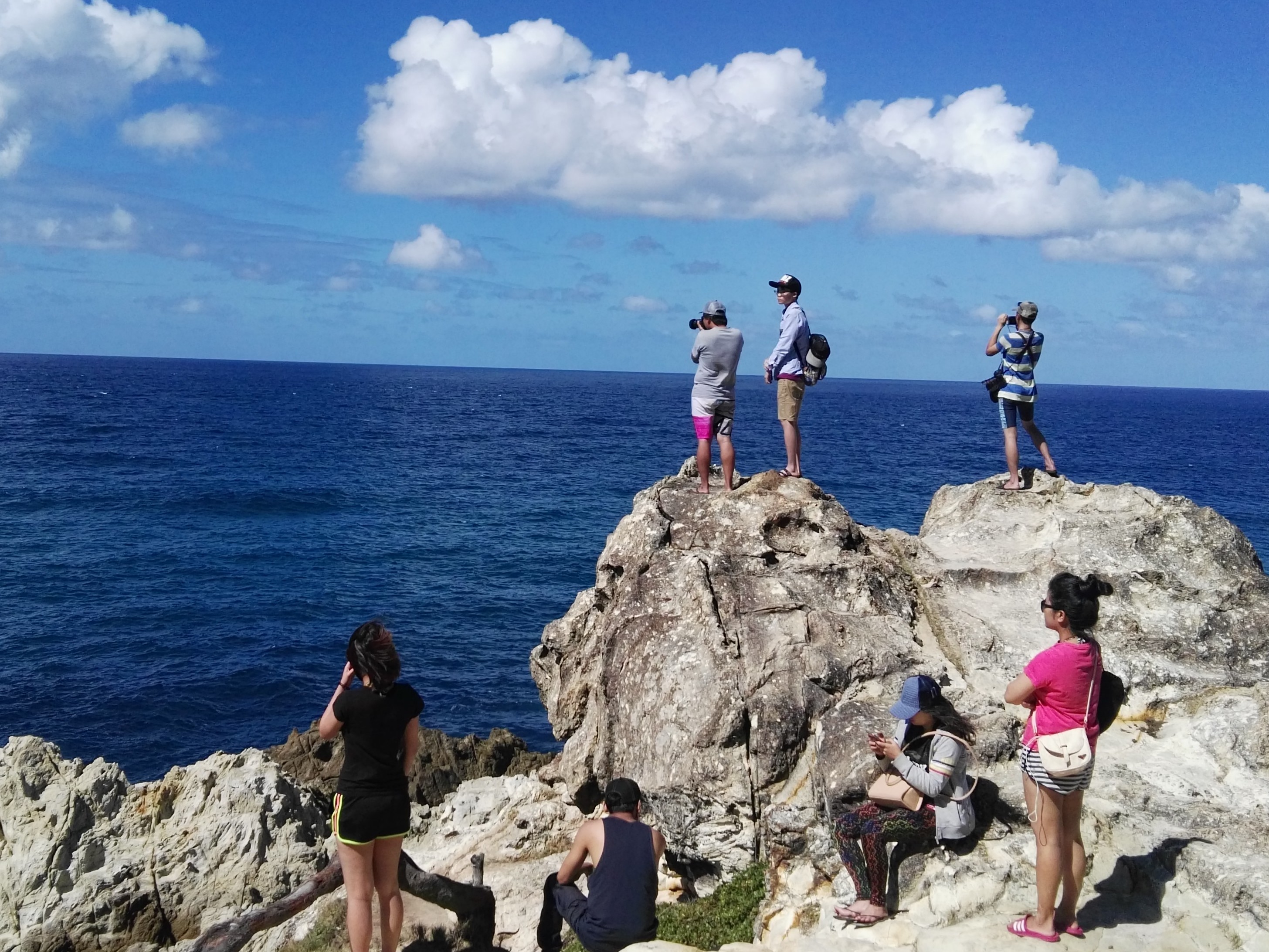 whale - Mi Gold Coast - Tourism Information