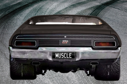 Muscle Car Museum
